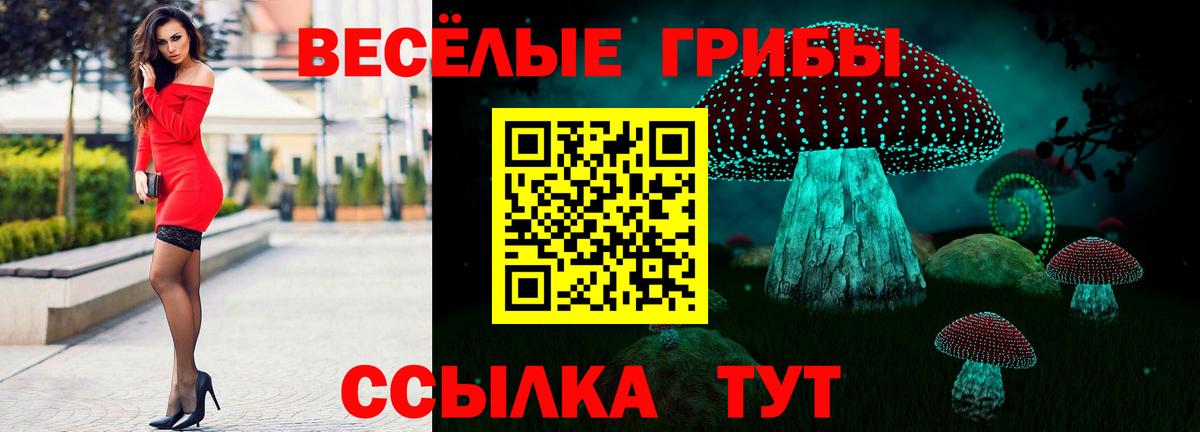 Псилоцибиновые грибы Cubensis  Галлюциногенные грибы MAGIC MUSHROOMS  купить закладку  Пушкино  Вход с VPN 